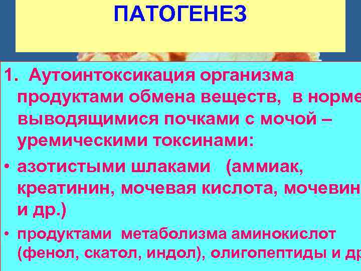 ПАТОГЕНЕЗ 1. Аутоинтоксикация организма продуктами обмена веществ, в норме выводящимися почками с мочой –