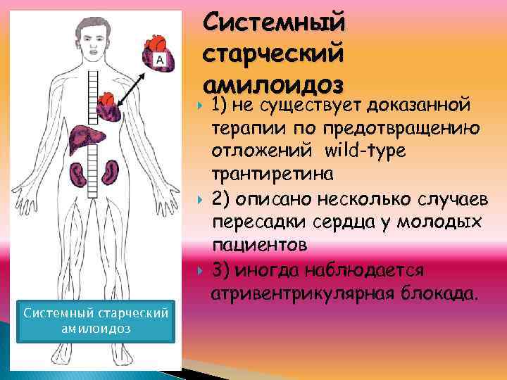 Системный старческий амилоидоз Системный старческий амилоидоз 1) не существует доказанной терапии по предотвращению отложений