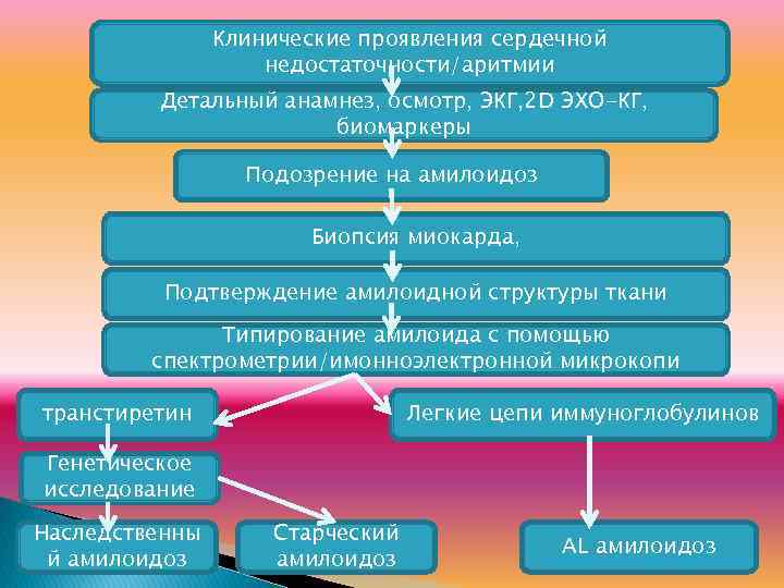 Клинические проявления сердечной недостаточности/аритмии Детальный анамнез, осмотр, ЭКГ, 2 D ЭХО-КГ, биомаркеры Подозрение на