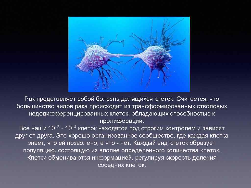 Как называется онкология. Раковая клетка строение. Строение раковой клетки. Структура раковых клеток. Раковые клетки состав.