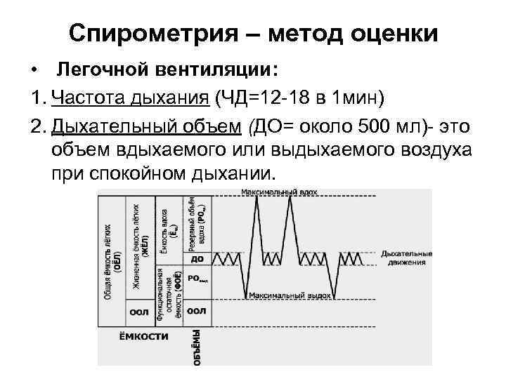 Спирометрия – метод оценки • Легочной вентиляции: 1. Частота дыхания (ЧД=12 -18 в 1