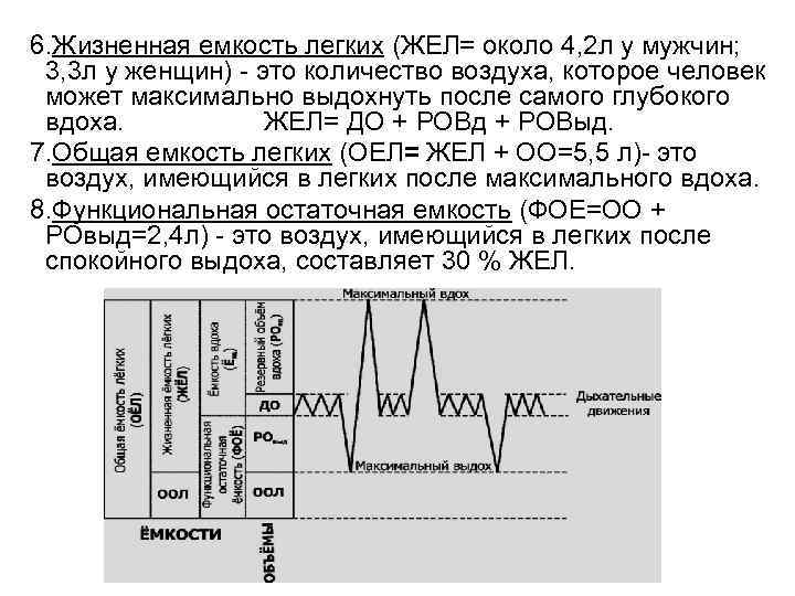 6. Жизненная емкость легких (ЖЕЛ= около 4, 2 л у мужчин; 3, 3 л
