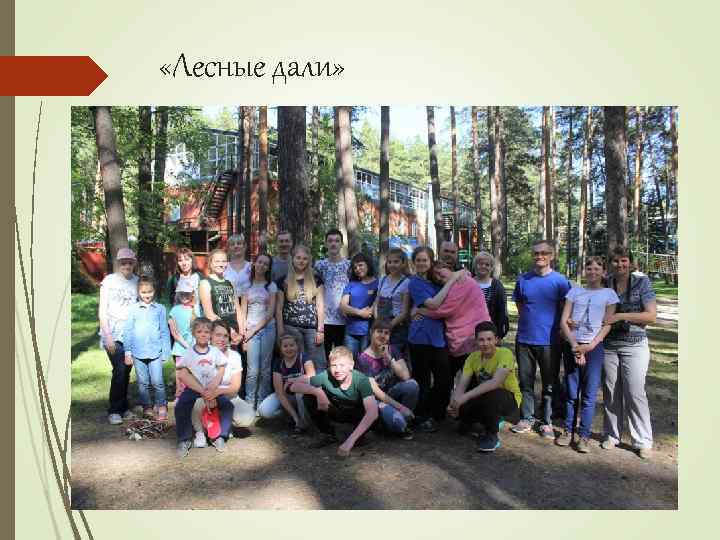  «Лесные дали» 