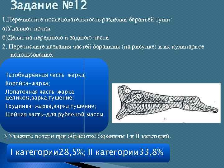 Кулинарная разделка и обвалка бараньей туши схема