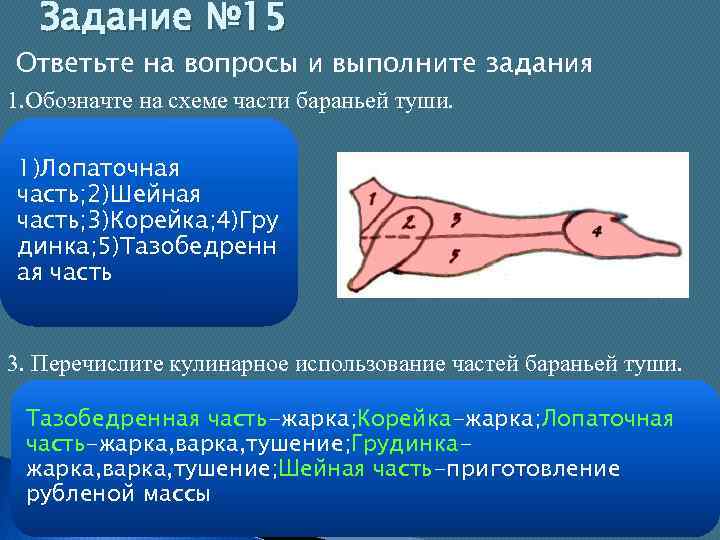 Задание № 15 Ответьте на вопросы и выполните задания 1. Обозначте на схеме части