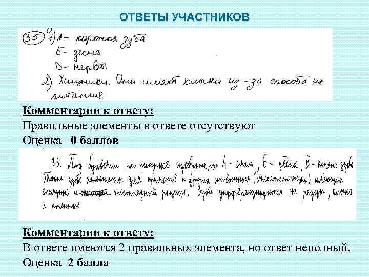 ОТВЕТЫ УЧАСТНИКОВ Комментарии к ответу: Правильные элементы в ответе отсутствуют Оценка 0 баллов Комментарии