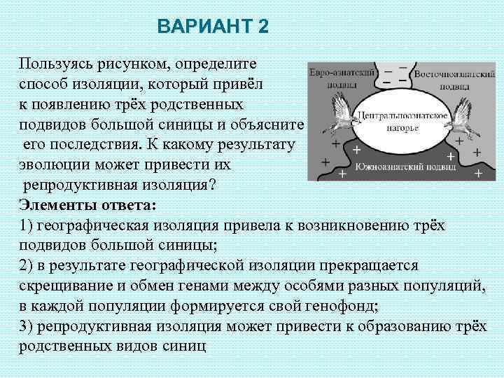 Пользуясь рисунком определите способ изоляции который привел к появлению трех родственных