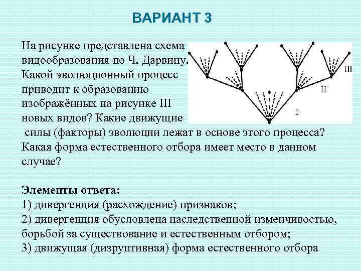 ВАРИАНТ 3 На рисунке представлена схема видообразования по Ч. Дарвину. Какой эволюционный процесс приводит