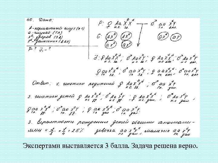 Экспертами выставляется 3 балла. Задача решена верно. 