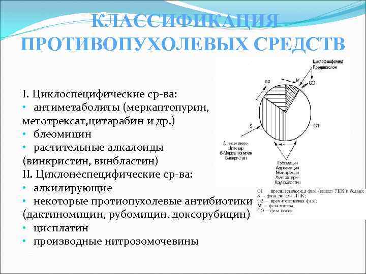 КЛАССИФИКАЦИЯ ПРОТИВОПУХОЛЕВЫХ СРЕДСТВ I. Циклоспецифические ср-ва: • антиметаболиты (меркаптопурин, метотрексат, цитарабин и др. )
