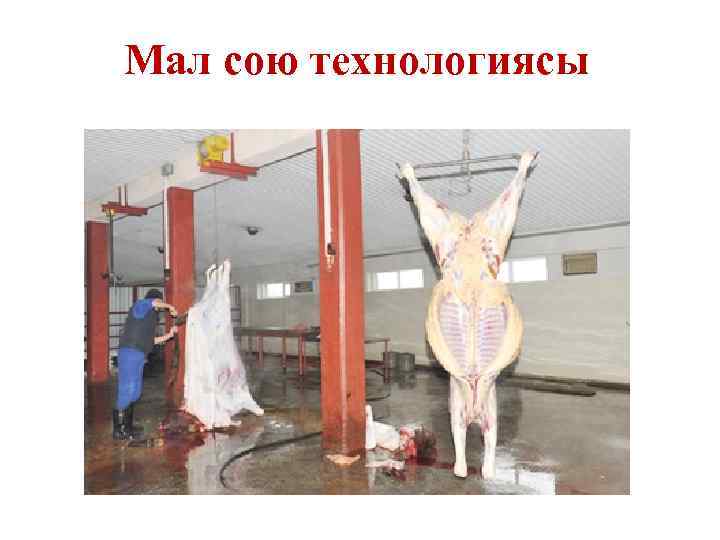 Мал сою технологиясы 