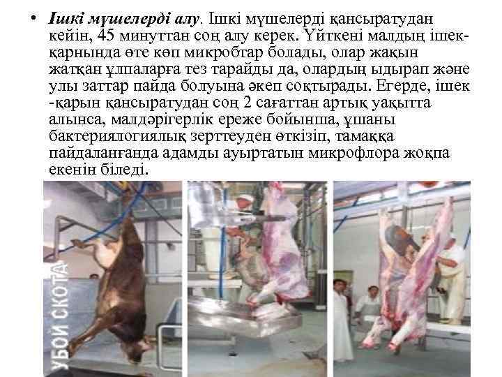  • Ішкі мүшелерді алу. Ішкі мүшелерді қансыратудан кейін, 45 минуттан соң алу керек.