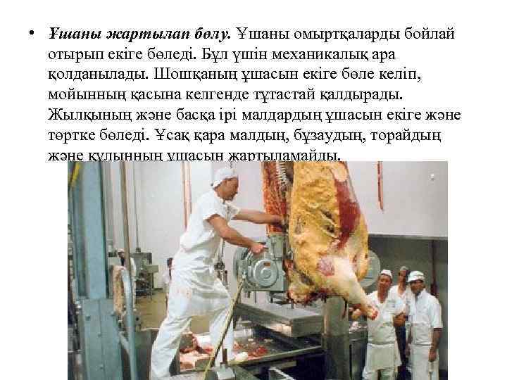  • Ұшаны жартылап бөлу. Ұшаны омыртқаларды бойлай отырып екіге бөледі. Бұл үшін механикалық