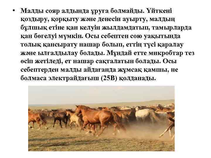  • Малды сояр алдында ұруға болмайды. Үйткені қоздыру, қорқыту және денесін ауырту, малдың