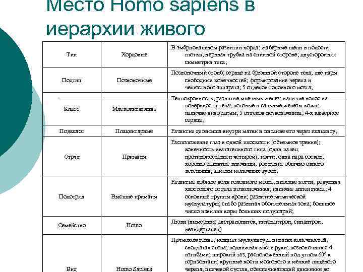 Место Homo sapiens в иерархии живого Тип Хордовые В эмбриональном развитии хорда; жаберные щели