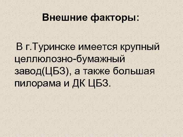 Внешние факторы: В г. Туринске имеется крупный целлюлозно-бумажный завод(ЦБЗ), а также большая пилорама и