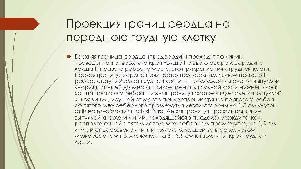 Проекция границ сердца на переднюю грудную клетку Верхняя граница сердца (предсердий) проходит по линии,
