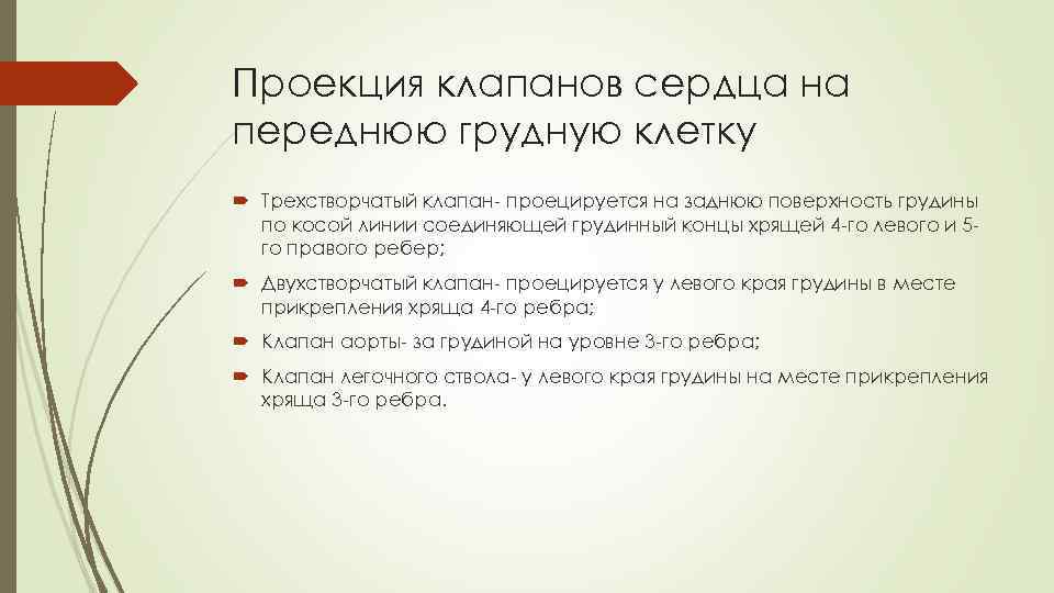Проекция клапанов сердца на переднюю грудную клетку Трехстворчатый клапан- проецируется на заднюю поверхность грудины