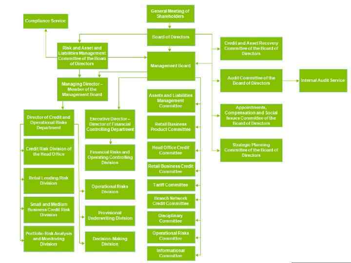Risk management system structure in BTA Bank JSC is represented as follows: 