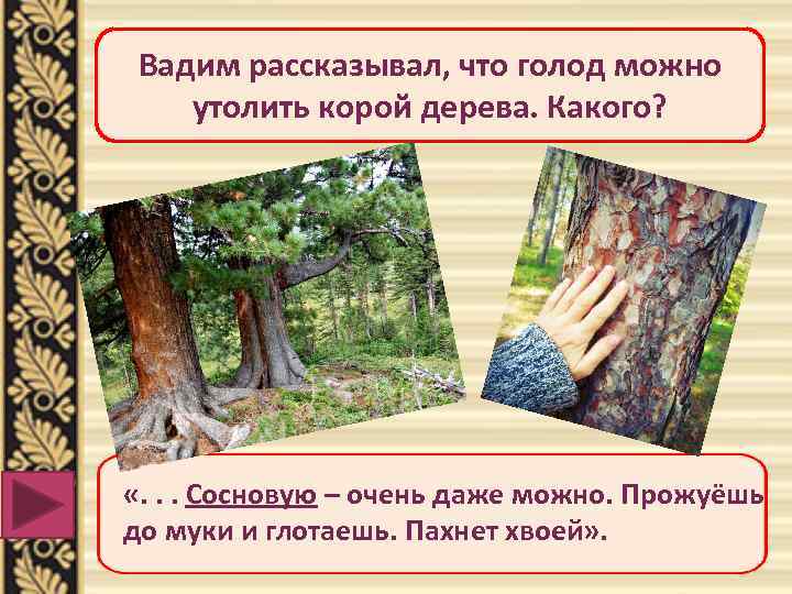 Вадим рассказывал, что голод можно утолить корой дерева. Какого? «. . . Сосновую –