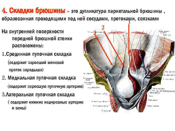 Пузырно пупочный свищ фото