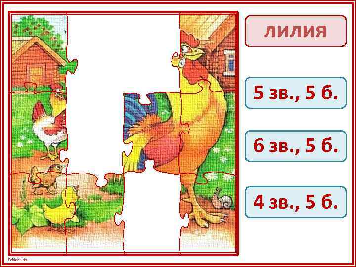 лилия 5 зв. , 5 б. 6 зв. , 5 б. 4 зв. ,
