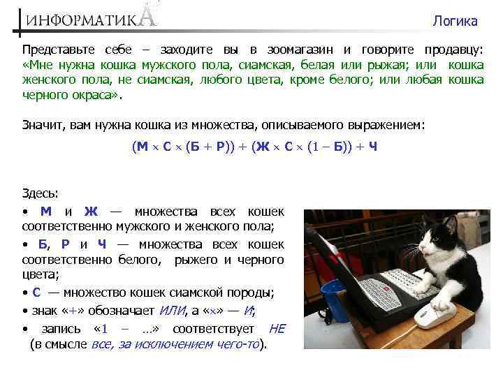 Логика Представьте себе – заходите вы в зоомагазин и говорите продавцу: «Мне нужна кошка