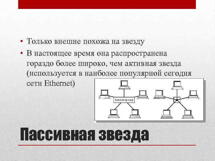  • Только внешне похожа на звезду • В настоящее время она распространена гораздо