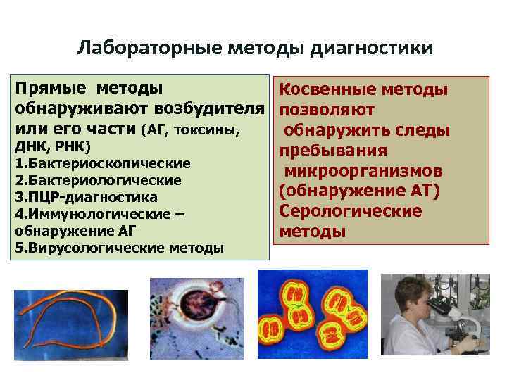 Лабораторные методы диагностики Прямые методы Косвенные методы обнаруживают возбудителя позволяют или его части (АГ,