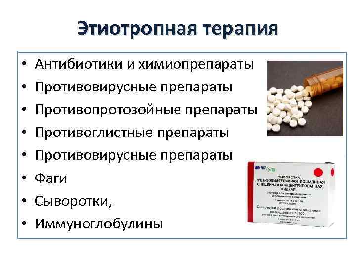 Этиотропная терапия • • Антибиотики и химиопрепараты Противовирусные препараты Противопротозойные препараты Противоглистные препараты Противовирусные