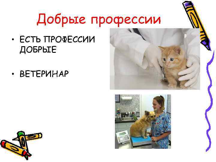 Добрые профессии • ЕСТЬ ПРОФЕССИИ ДОБРЫЕ • ВЕТЕРИНАР 