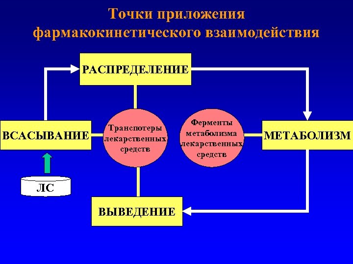 Точки приложения фармакокинетического взаимодействия РАСПРЕДЕЛЕНИЕ ВСАСЫВАНИЕ Транспотеры лекарственных средств ЛС ВЫВЕДЕНИЕ Ферменты метаболизма лекарственных