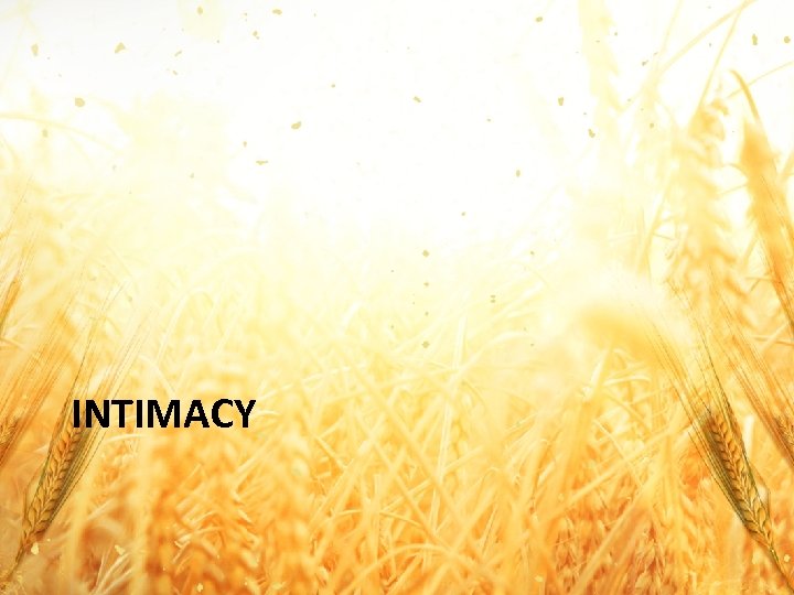 INTIMACY 