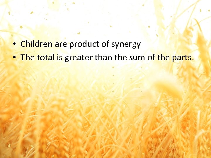  • Children are product of synergy • The total is greater than the