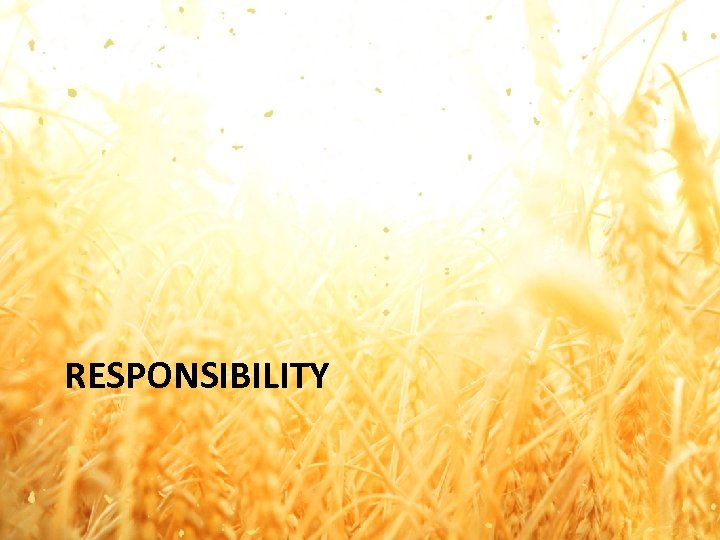 RESPONSIBILITY 