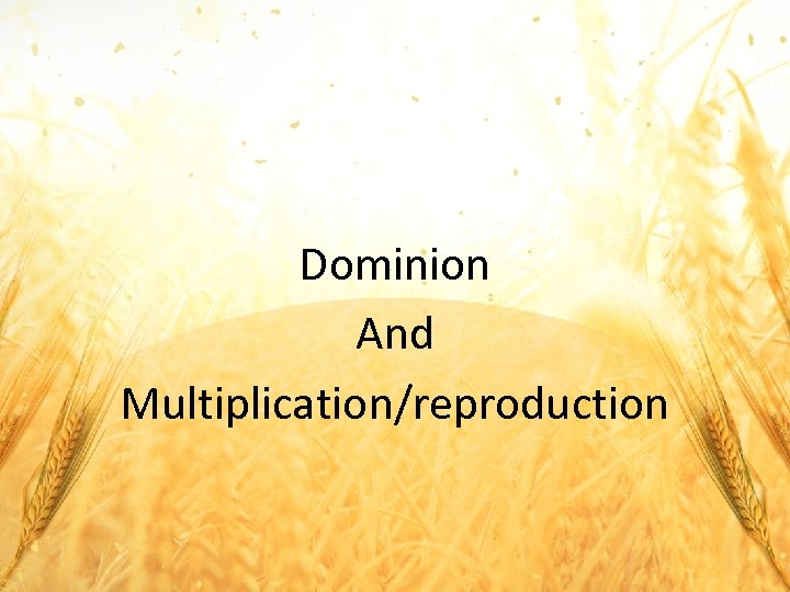 Dominion And Multiplication/reproduction 