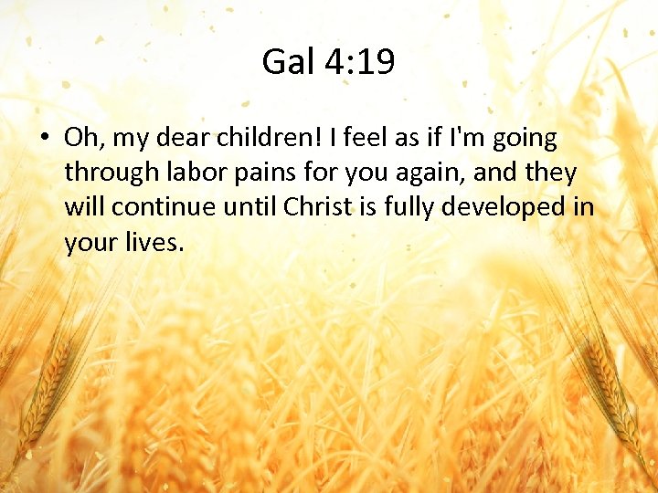 Gal 4: 19 • Oh, my dear children! I feel as if I'm going