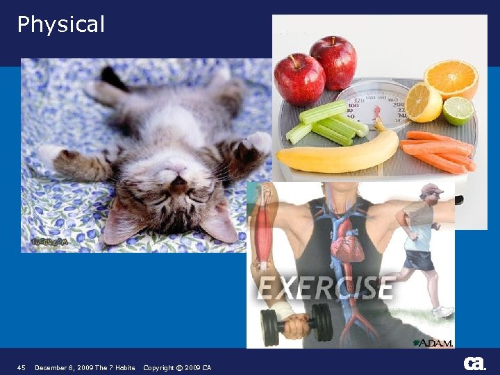 Physical 45 December 8, 2009 The 7 Habits Copyright © 2009 CA ® 