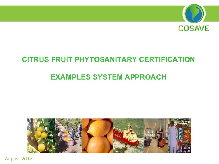 CITRUS FRUIT PHYTOSANITARY CERTIFICATION EXAMPLES SYSTEM APPROACH August 2012 