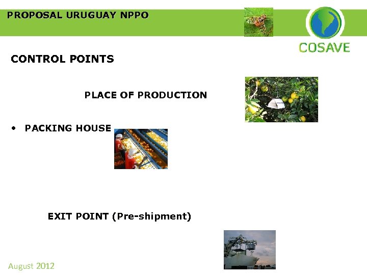  PROPOSAL URUGUAY NPPO CONTROL POINTS PLACE OF PRODUCTION • PACKING HOUSE EXIT POINT