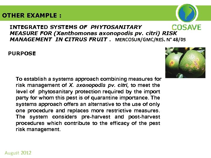 OTHER EXAMPLE : INTEGRATED SYSTEMS OF PHYTOSANITARY MEASURE FOR (Xanthomonas axonopodis pv. citri) RISK
