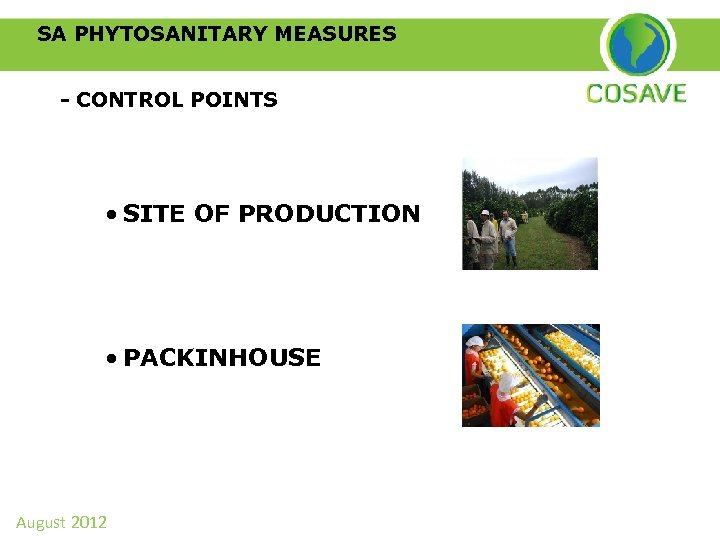 SA PHYTOSANITARY MEASURES - CONTROL POINTS • SITE OF PRODUCTION • PACKINHOUSE August 2012