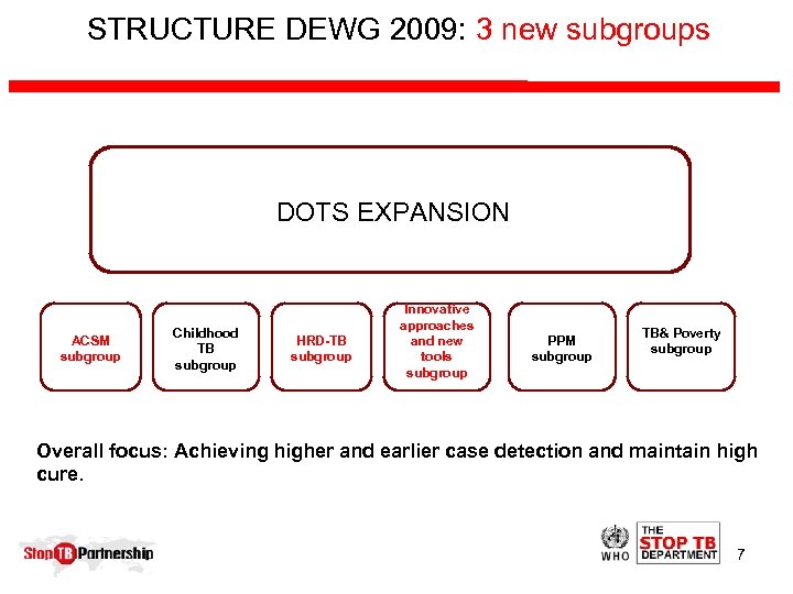 STRUCTURE DEWG 2009: 3 new subgroups DOTS EXPANSION ACSM subgroup Childhood TB subgroup HRD-TB