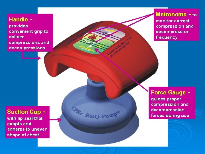 Handle provides convenient grip to deliver compressions and decompressions Metronome - to monitor correct
