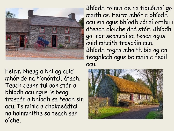 Feirm bheag a bhí ag cuid mhór de na tionóntaí, áfach. Teach ceann tuí