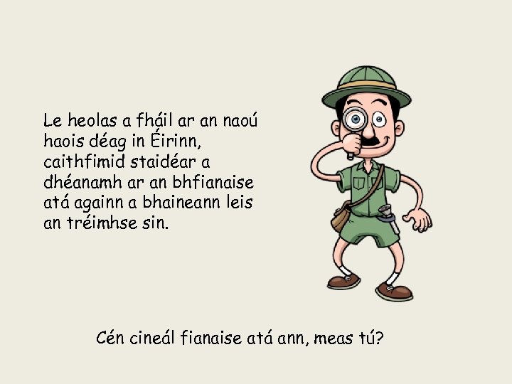 Le heolas a fháil ar an naoú haois déag in Éirinn, caithfimid staidéar a