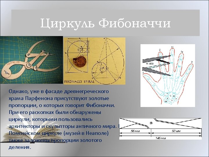 Циркуль фибоначчи чертеж и размеры