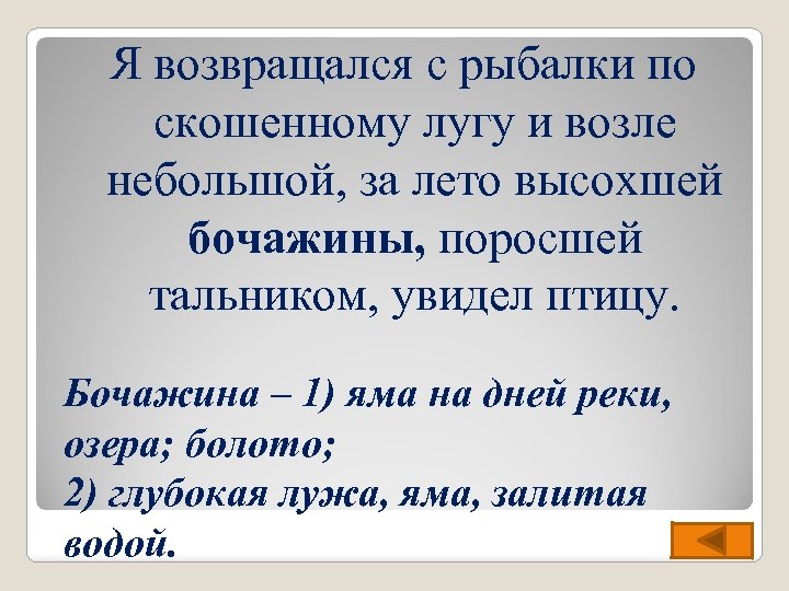 Я возвращался с рыбалки по скошенному лугу и возле небольшой, за лето высохшей бочажины,