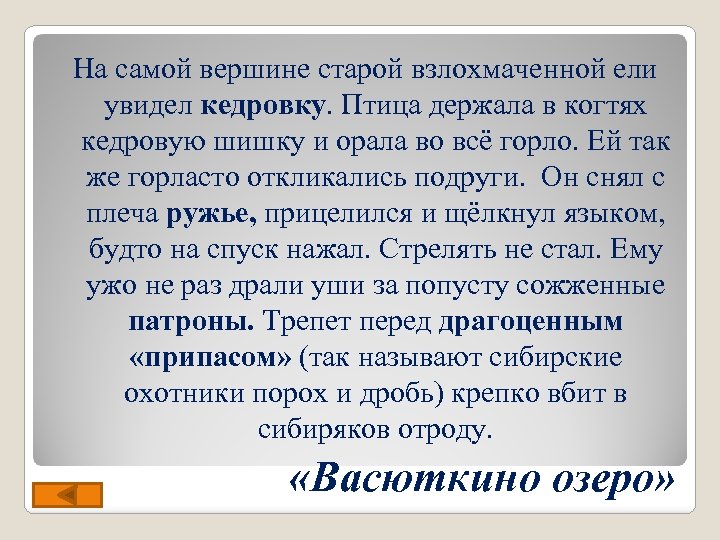 На самой вершине старой взлохмаченной ели увидел кедровку. Птица держала в когтях кедровую шишку