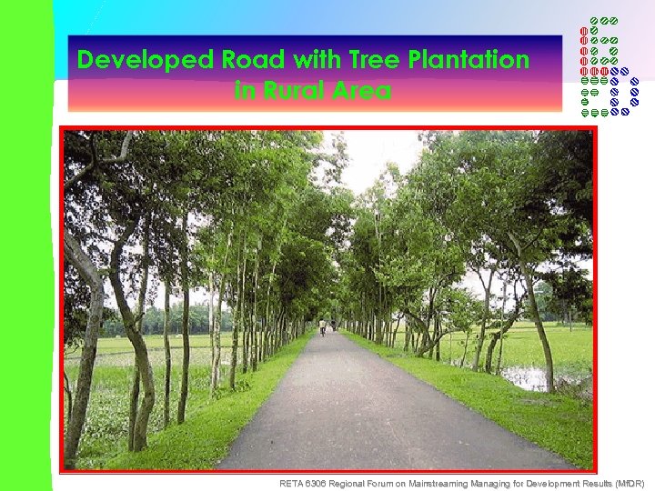 Developed Road with Tree Plantation in Rural Area RETA 6306 Regional Forum on Mainstreaming